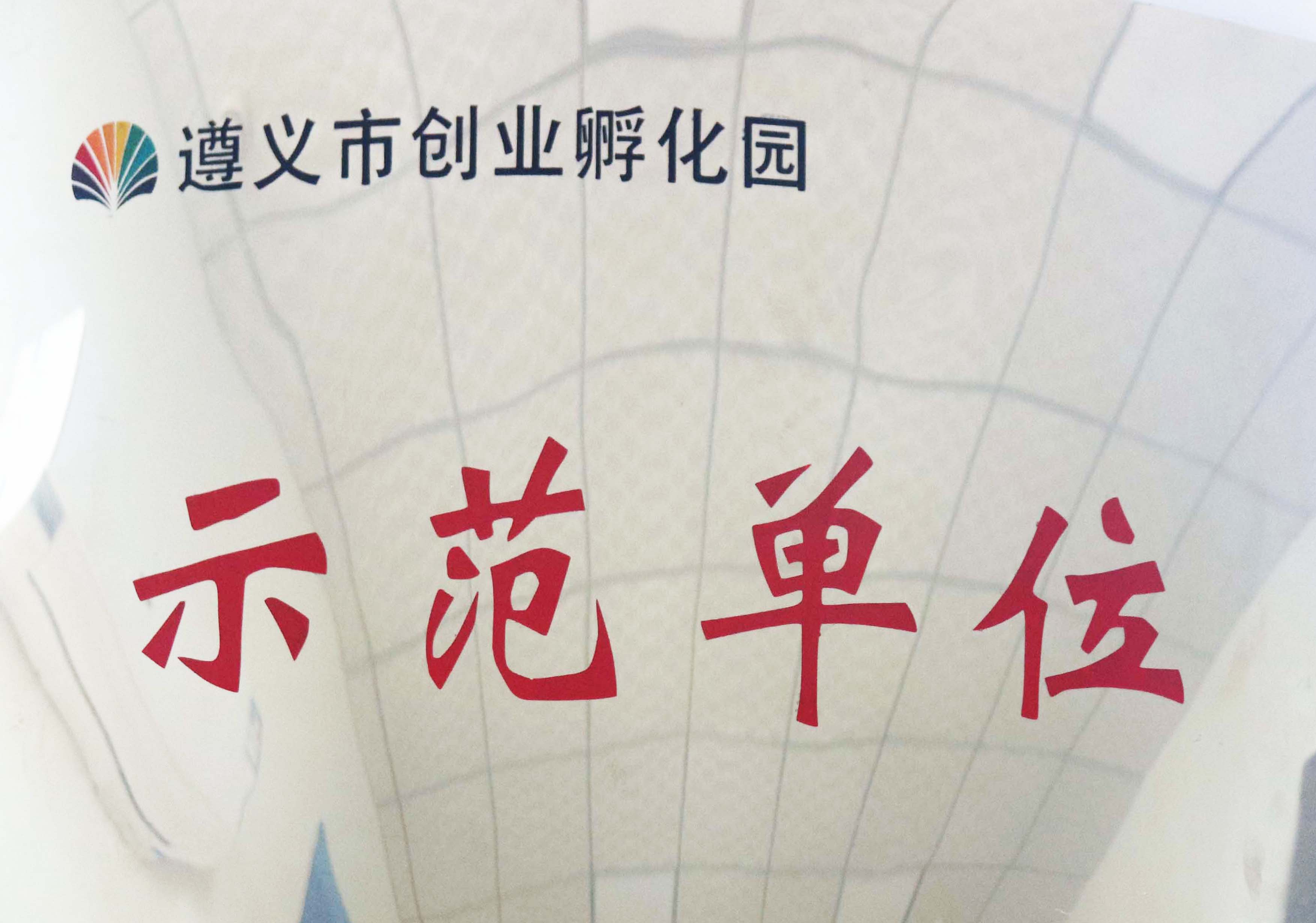 3、一種四孔位防錯裝連接器（實用新型）